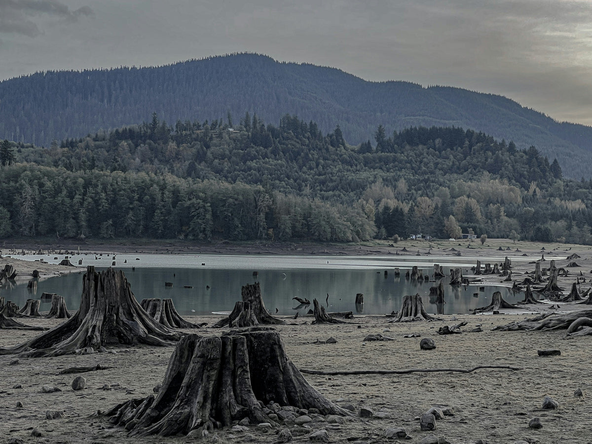 Beyond The Giver: Dystopian Reads for Middle Grade