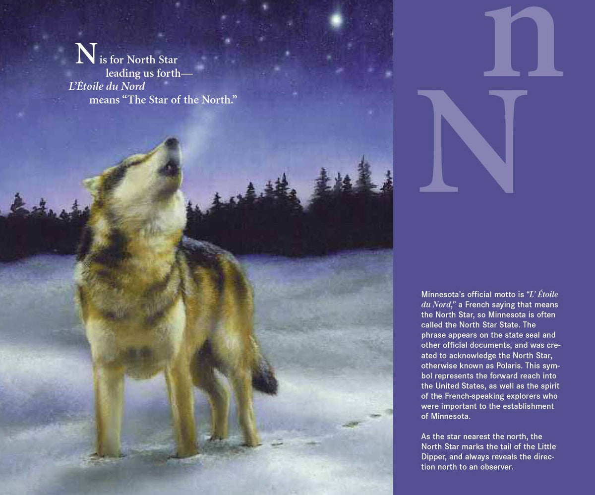 V is for Viking: A MINNESOTA Alphabet Picture Book