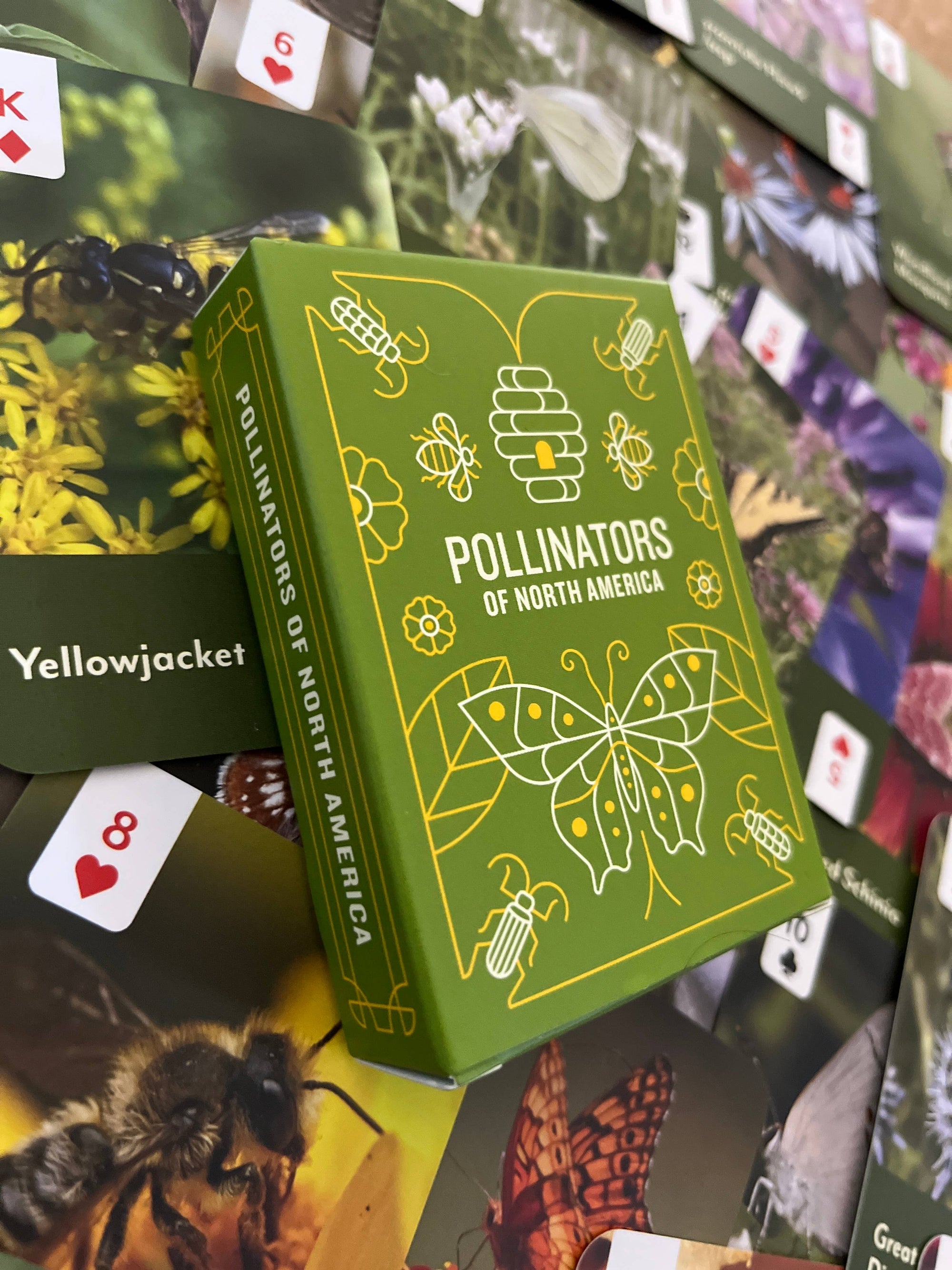 Pollinators of North America Card Deck