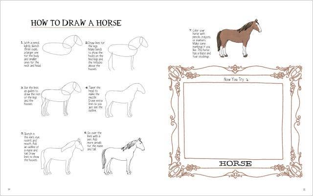 Farm Anatomy Activity Book