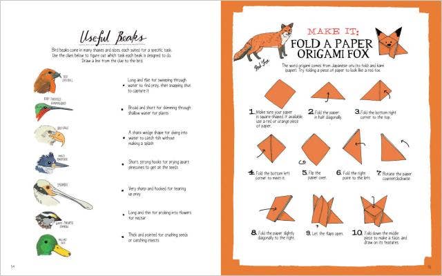 Nature Anatomy Activity Book