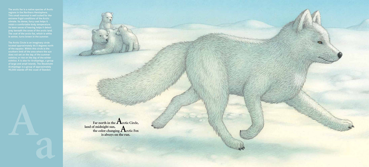 D is for Dala Horse: Nordic Countries Alphabet Picture Book