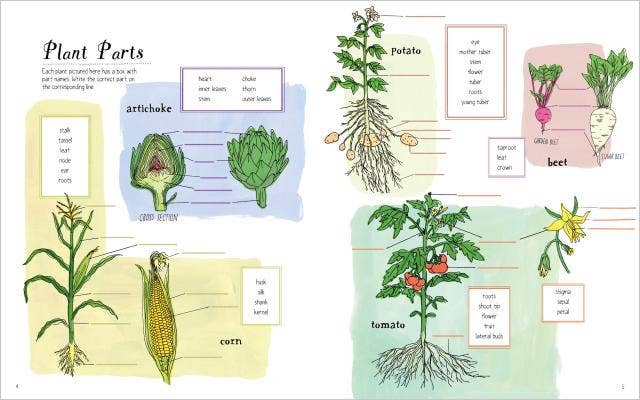 Farm Anatomy Activity Book