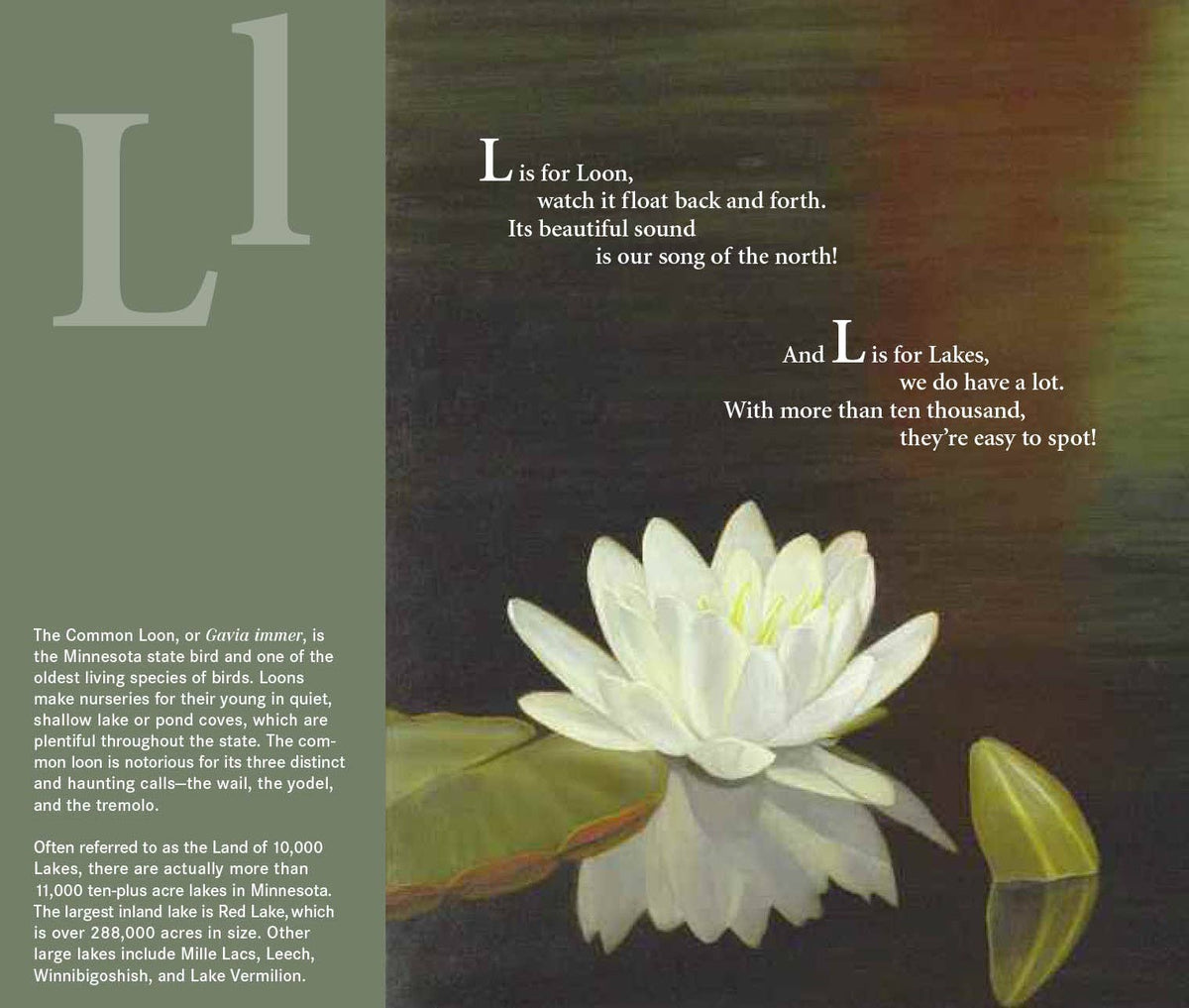 V is for Viking: A MINNESOTA Alphabet Picture Book