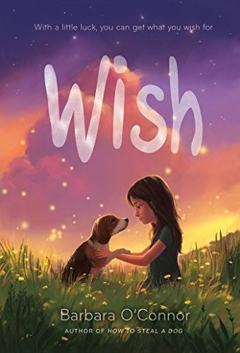 Wish book cover